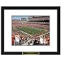 Cincinnati Bengals NFL Framed Double Matted Stadium Print