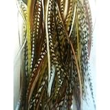 Sexy Sparkles 4-6 Natural Mix Feathers for Hair Extensions Bunched Together Salon Quality Feathers! 5 Feathers