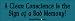 A Clear Conscience Is The Sign Of A Bad Memory - funny bumper stickers (Large 14x4 in...