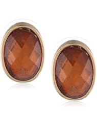 Napier "Chameleon" Gold-Tone and Brown Oval Stud Earrings