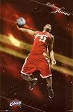 LeBron James- Space Entertainment Poster Print, 22x34