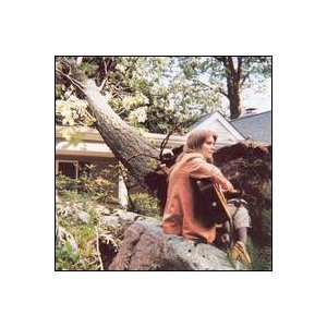 Roches - The Sound Of A Tree Falling