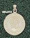 Se Louisiana Univ Nursing Charm/Pendant