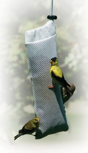 Thistle Sock Feeder