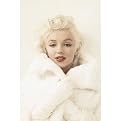 Marilyn Monroe Poster - In Mink (24x36")