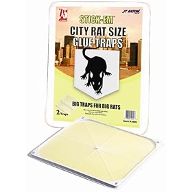 J.T. Eaton City Rat Size Glue board Trap