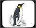 Decorated Mouse Pad with emperor, penguin, seabird, antarctic