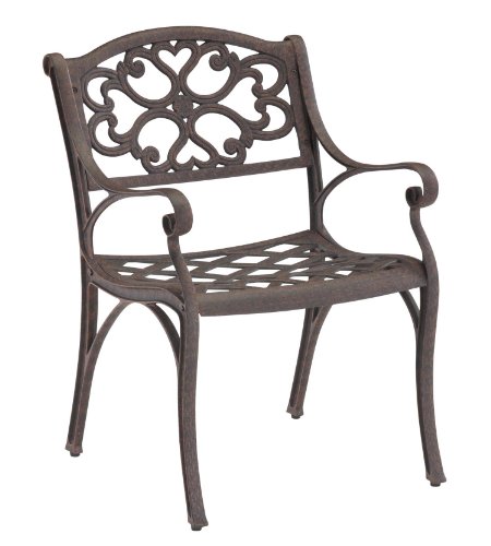 Home Styles Outdoor Dining Arm Chair in Rust Brown Finish (Set of 2) product image