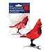 Red Cardinal Christmas Ornament - Chirps When It Senses Motion