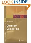 Quantum Computing (Natural Computing Series)