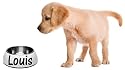 Hunde-Fressnapf ( groß + weiss ) -individuell bedruckt-
