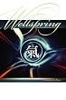 The Wellspring: An Inquiry into the Nature of Chi