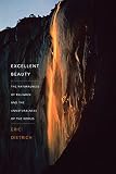 Excellent beauty : the naturalness of religion and the unnaturalness of the world