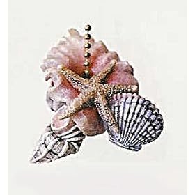 Beach Starfish Sea Shells Conch Ceiling Fan Pull Chain by Clementine