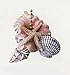 Sea SHELL Nautical seashell ceiling Fan Pull home decor