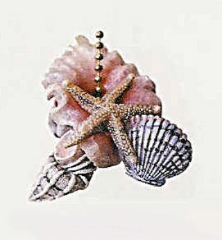 black Friday Starfish Seashells Shell Beach LightB000SOINQG