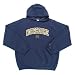 Notre Dame Fighting Irish NCAA 
