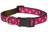 Large Fuchsia/Lime Dot Dog Collar: 1" wide, Adjusts 18-28" - Made in USA.