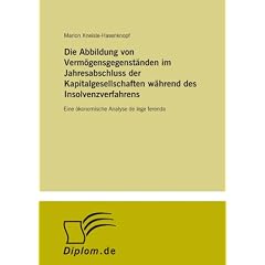 Die Abbildung von Verm�gensgegenst�nden im Jahresabschluss der Kapitalgesellschaften w�hrend des Insolvenzverfahrens: Eine �konomische Analyse de lege ferenda