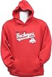 Youth Ohio State Buckeyes Slant Script Hoodie