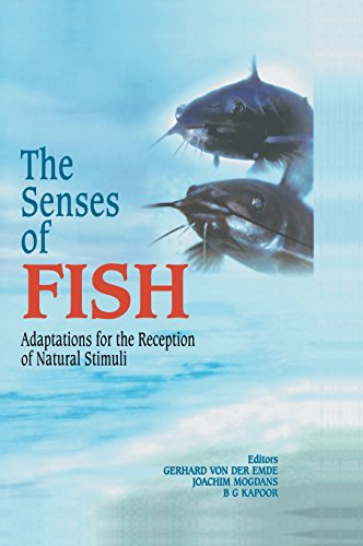 the senses of fish adaptations for the reception of natural stimuli cancer treatment and research