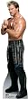 Chris Jericho (World Wrestling Entertainment) Life-Size Standup Poster