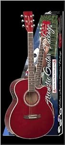 Tanglewood Deluxe Electro  Acoustic Guitar Package