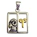 Sterling Silver Aries Pendant Zodiac Astrology Necklace Jewelry