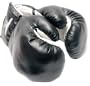 1 Pair Black 16oz Punching Boxing Gloves for Fighters