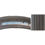 Maxxis Miracle Tire - 20" x 1.85, FOLDING Bead, Black/BSK