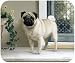Pug On Porch Dog Puppy Mouse Pad MousePad
