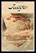 12 X 18 Stretched Canvas Poster Judge Magazine: Free Trade England Wants the Earth
