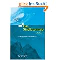 Das Sintflutprinzip: Ein Mathematik-Roman