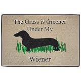 The Grass