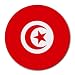Tunisia Flag Round Mouse Pad