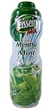 Teisseire 20.3 fl oz mint syrup for flavoring tea, for sodas and more. French import