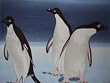 Penguins - 100% Polyester Fleece Throw - 50 Inches by 60 Inches