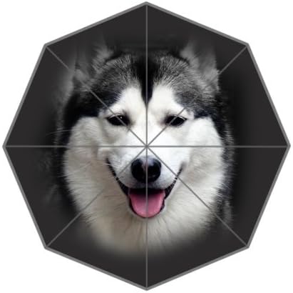 Generic Totes Compact Easy Carry With Foldable Rainy / Sunny Gifts Custom Rain Umbrella - Watchful Husky Close Up Snowy Mountain Blue Sky Dog Design