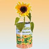 from oob Grow Your Own Sunflower - Plant in a Tin