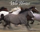Wild Horses 2010 Calendar