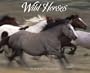 Wild Horses Calendar