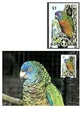 First Day of Issue WWF St Lucia Parrot $1 Stamp
