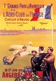 Walls 360 Wall Poster/Decal - Grand Prix Aviation