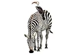 Jungle Animals Peel & Stick  Wall Mural