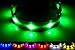 GoDoggie-GLOW USB Rechargeable LED Dog Safety Collar, X-Large (16.9-27.5