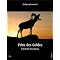 Prinz des Goldes - Der Hintergrund