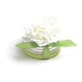 Bloembox Tiny Tins Classic: Carnation in Gift Tin
