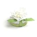 Bloembox Tiny Tins Classic: Carnation in Gift Tin