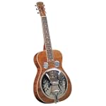Regal Professional Series RD-60 Guitar with Power Reflex Tone Chamber (Mahogany, Amber Finish)