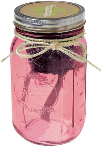 Children's Hydroponic Herb Garden Jar - Pink